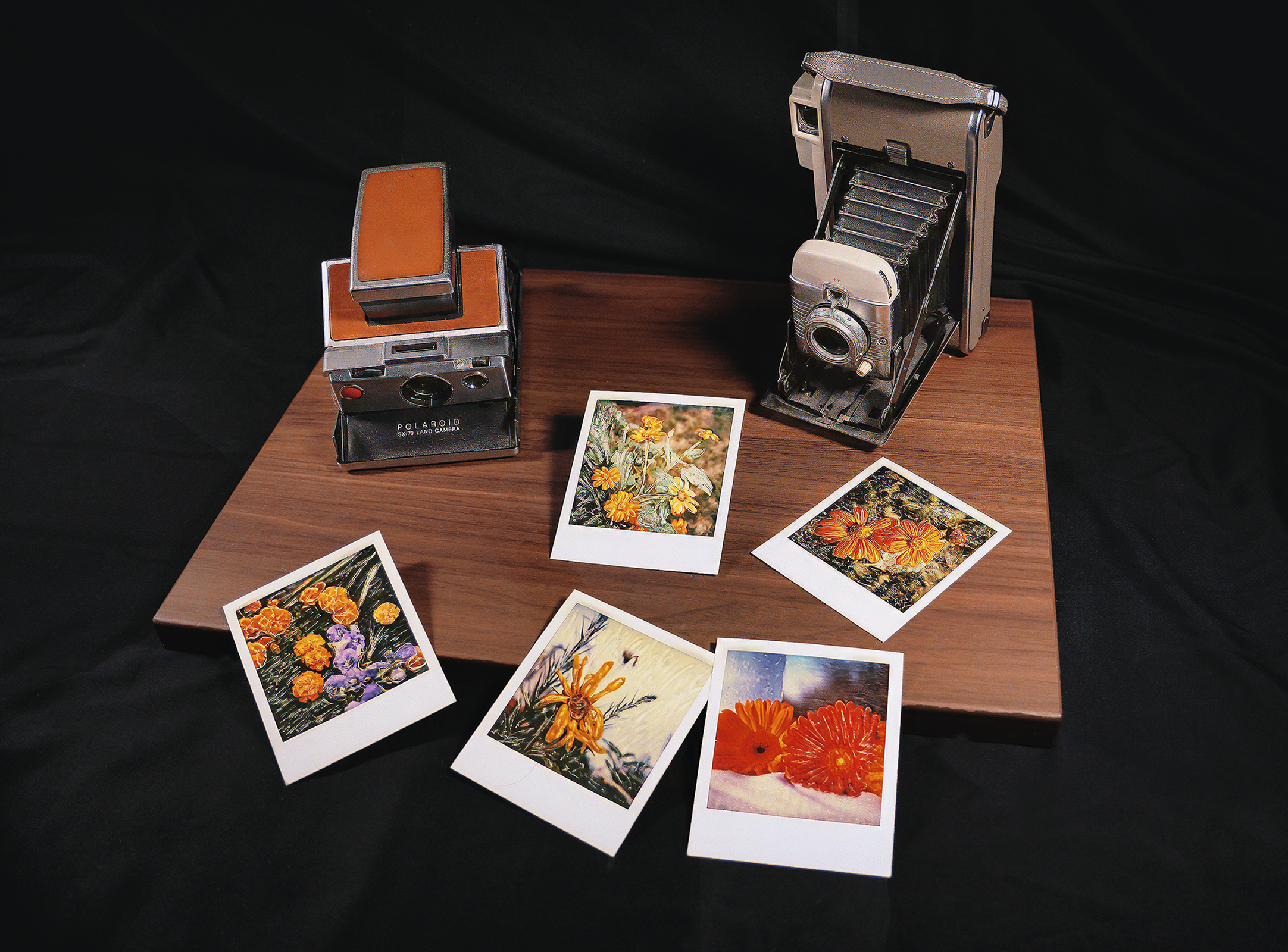 2nd PrizeAssigned Pictorial In Class 2 By Mark Houlday For Polaroid Garden SEP-2025.jpg